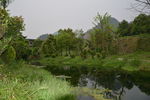 山水