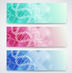 彩色DNA分子