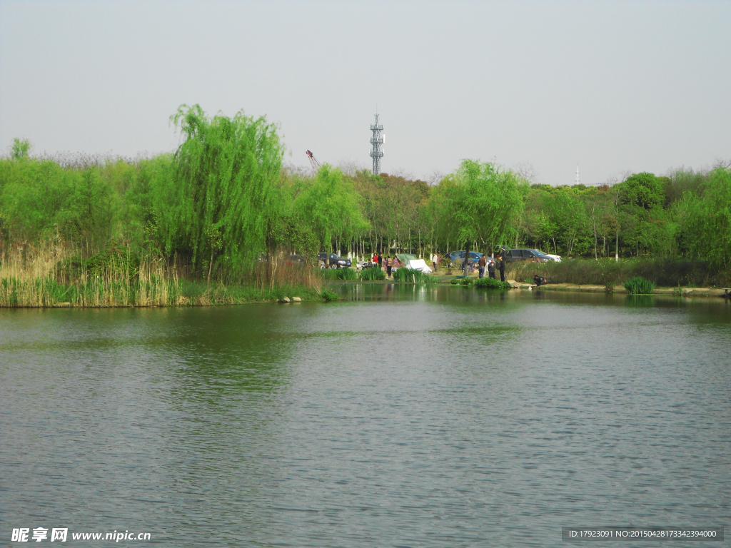 上海顾村公园