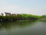 上海顾村公园