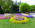 上海植物园