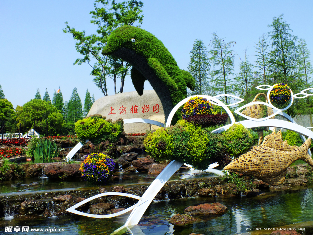【上海植物园牡丹摄影图片】生态摄影_太平洋电脑网摄影部落