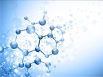 水分子