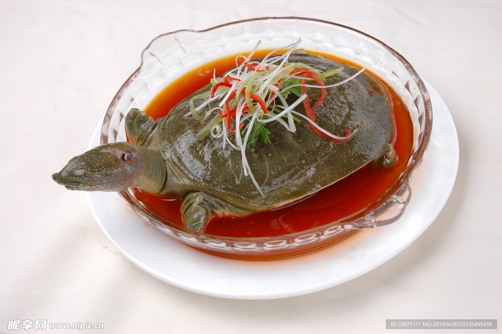 甲鱼