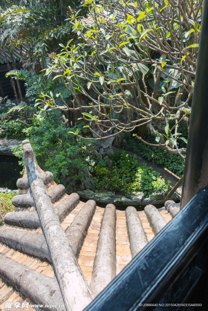 屋顶