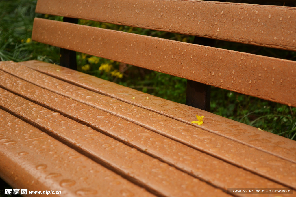 雨后公园座椅上的落花