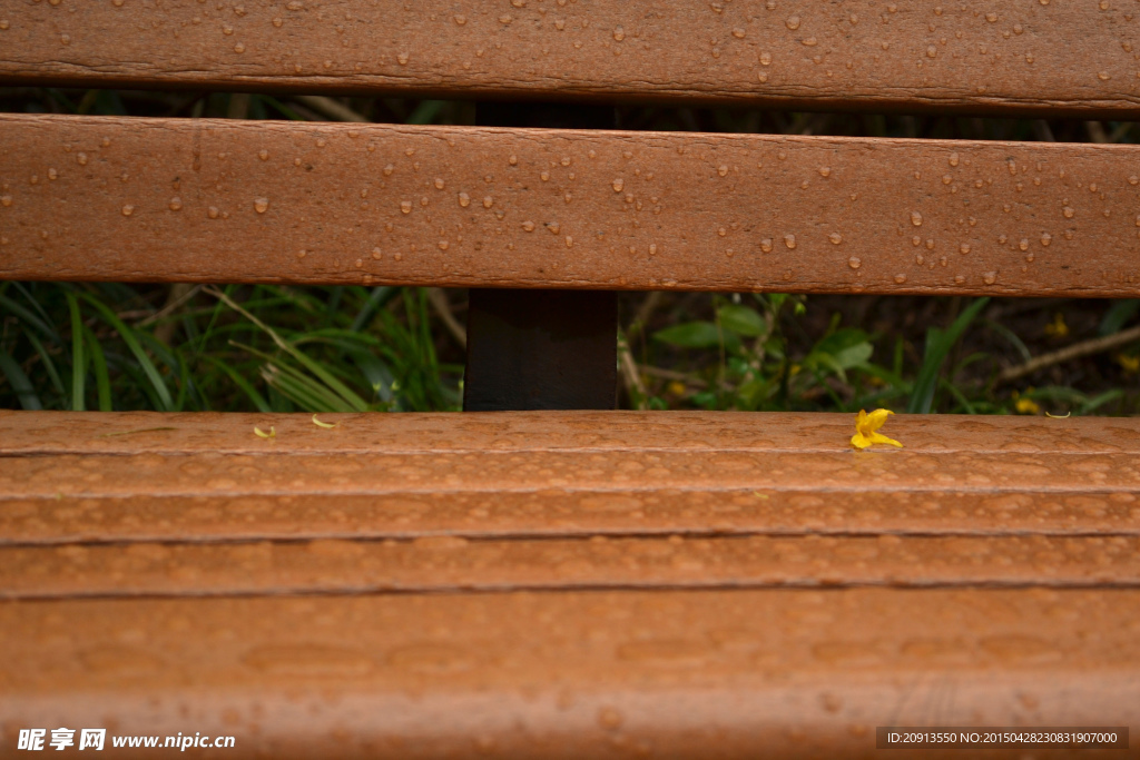 雨后公园座椅上的落花