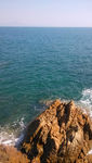 大海