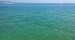 大海