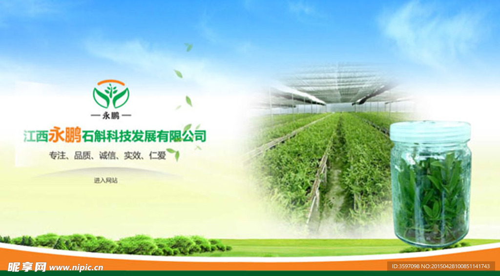铁皮石斛种植企业网站