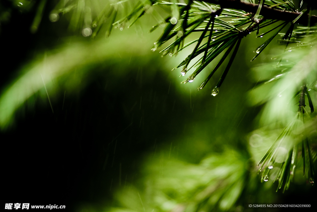 清新雨景