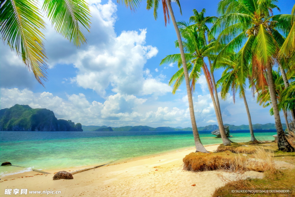 夏天 海滩