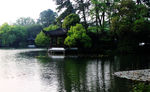西湖春光