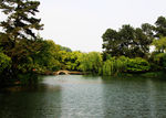 春天湖景