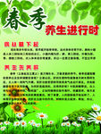 春季养生