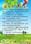 春季养生