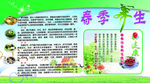 春季养生