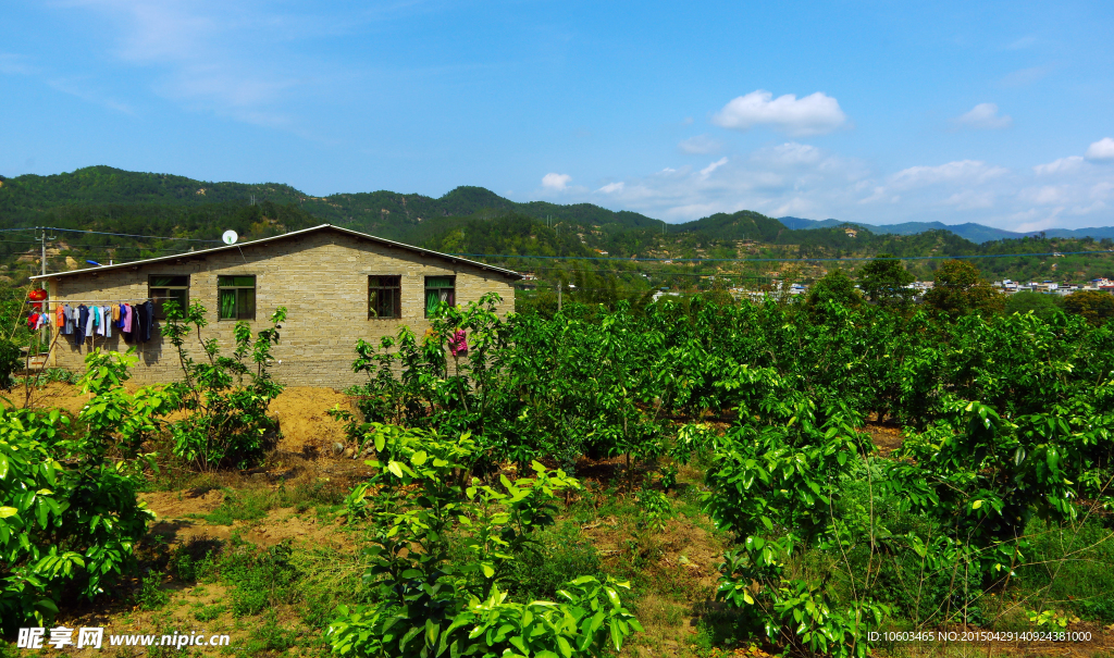 南岭建筑 果林民居