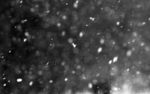 初雪