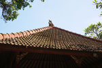 印尼寺庙屋顶