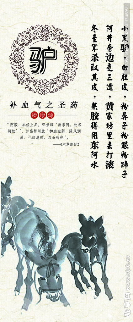 驴
