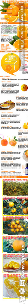 淘宝脐橙宝贝描述页设计