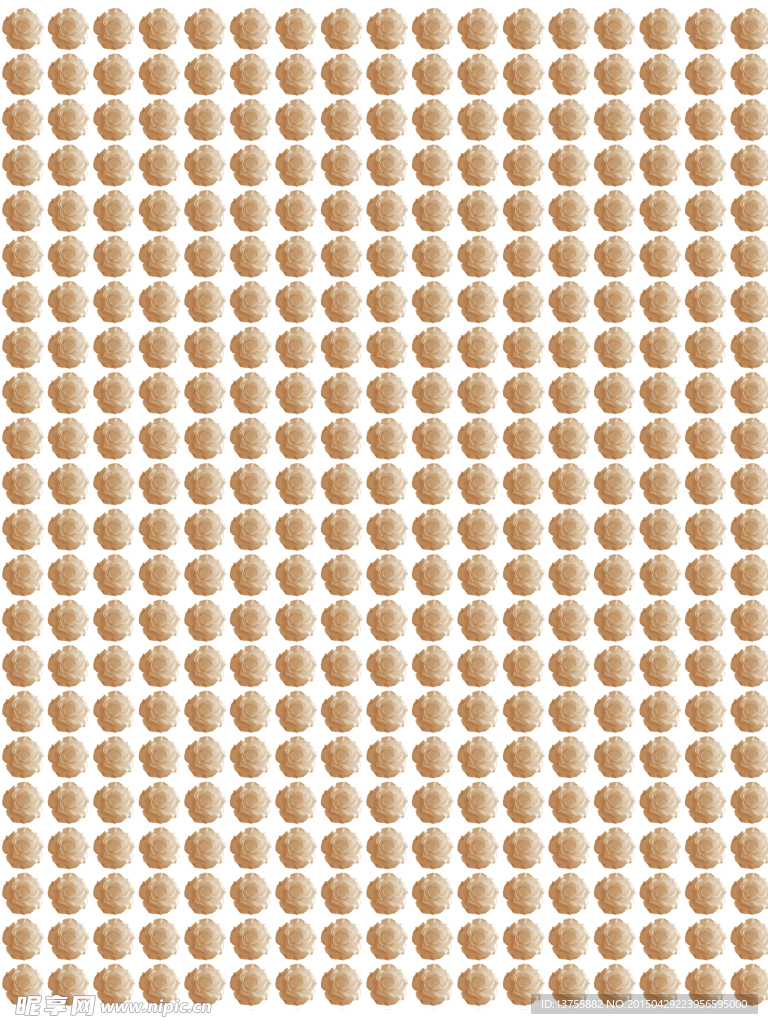 玫瑰