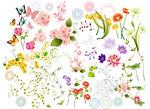 花素材