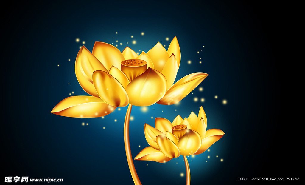 金莲花