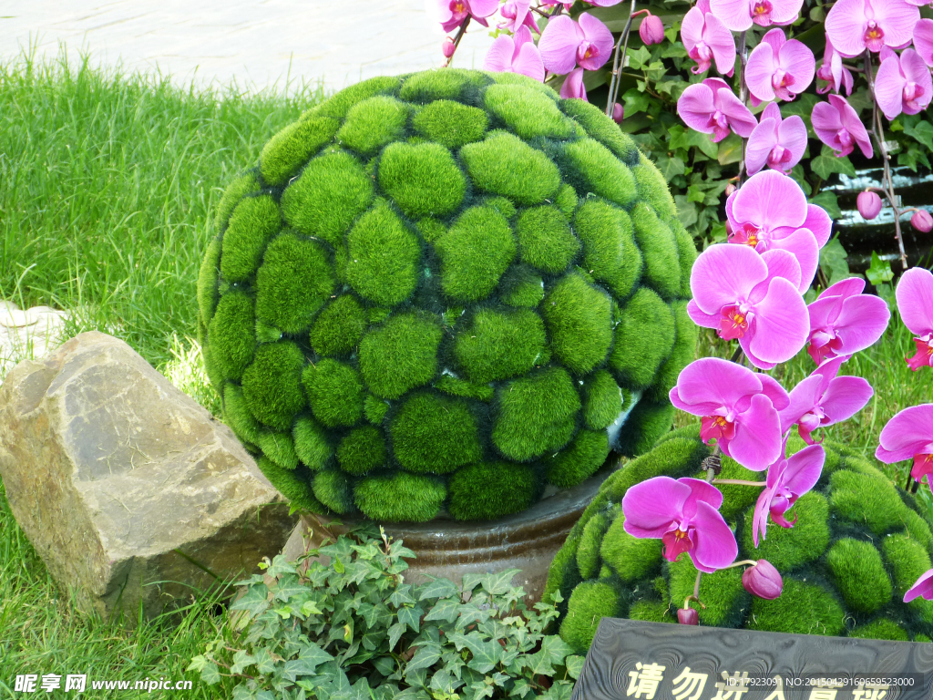 上海鲜花港