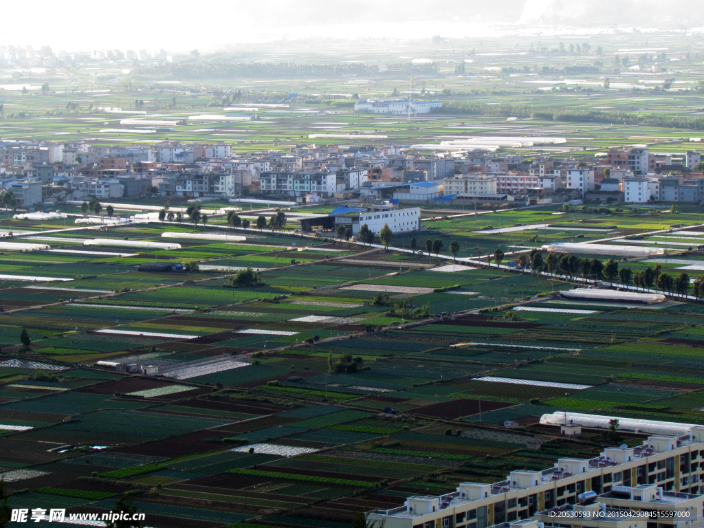 锦绣大地