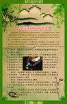 金刚菩提