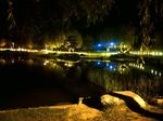 公园夜景