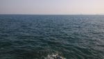 大海