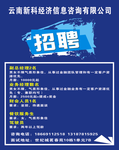 云南新科经济信息咨询公司招聘