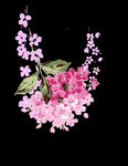 花卉