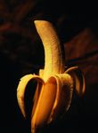 香蕉
