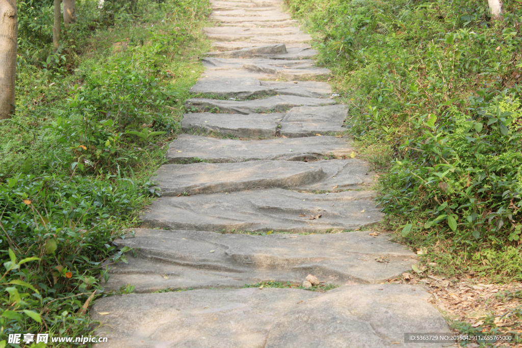 景区道路摄影