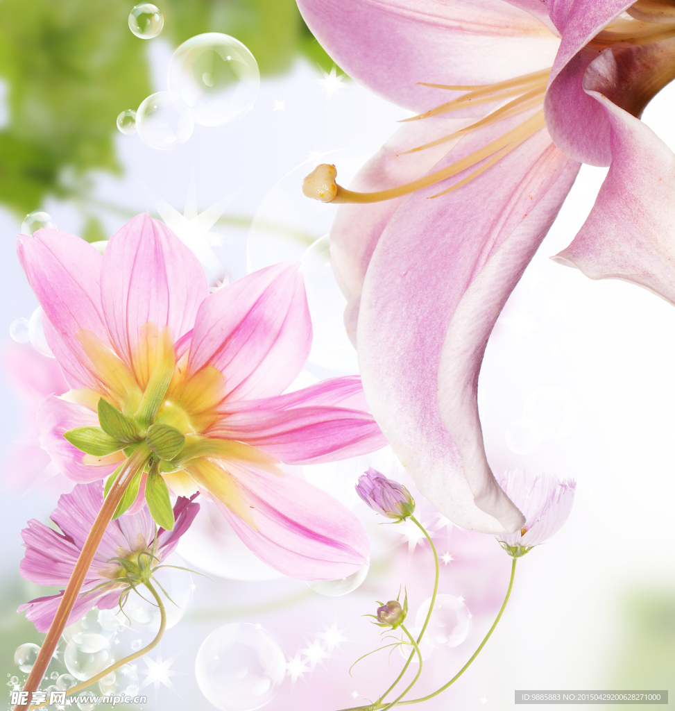 唯美粉色鲜花
