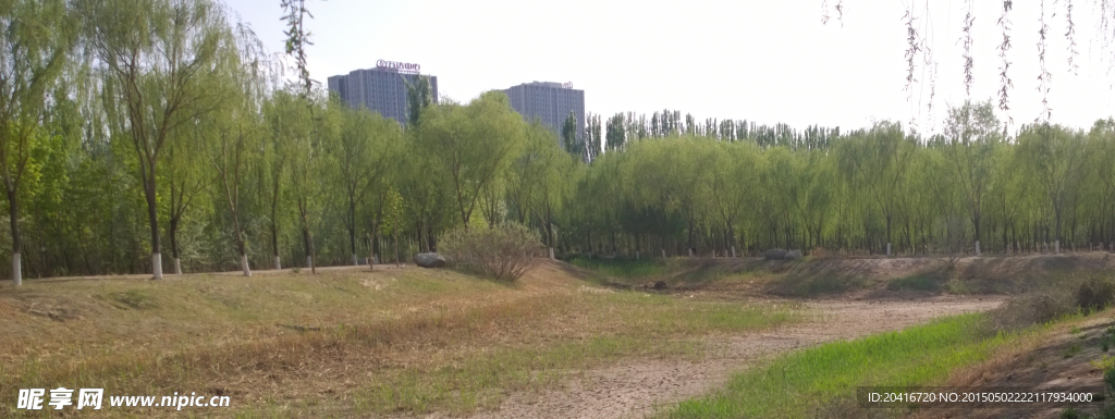 缺水的城市绿地