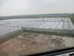 塑料大棚   绿色植物   连
