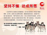 坚持不懈