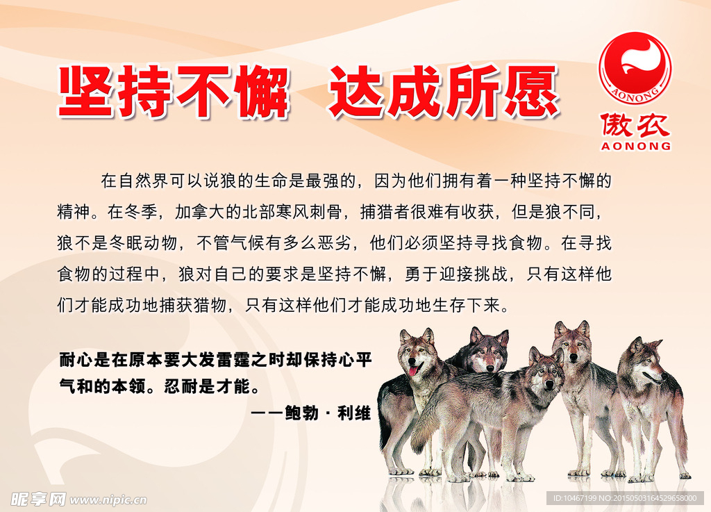 坚持不懈