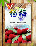 杨梅