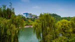 龙泉湖