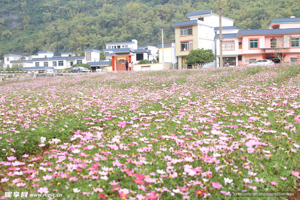 花田