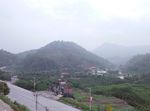 高山云雾