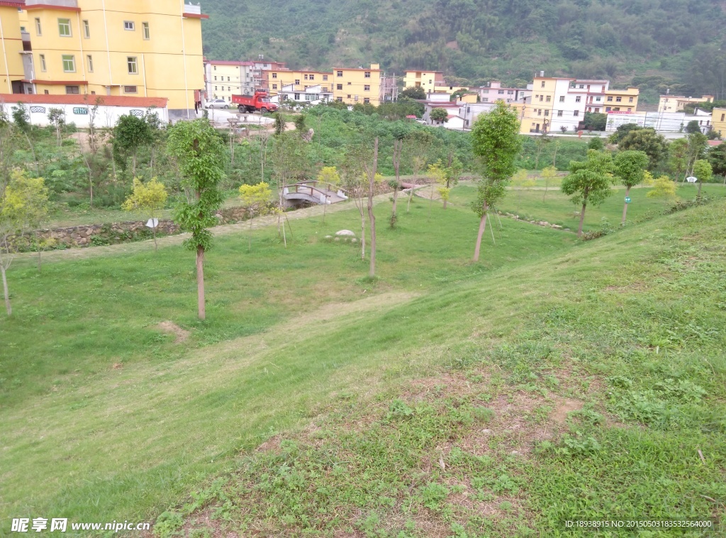 草坪小树建筑