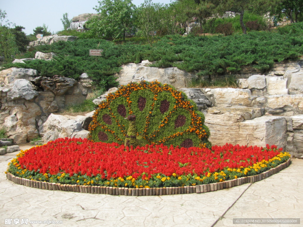 花坛