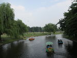 共青森林公园